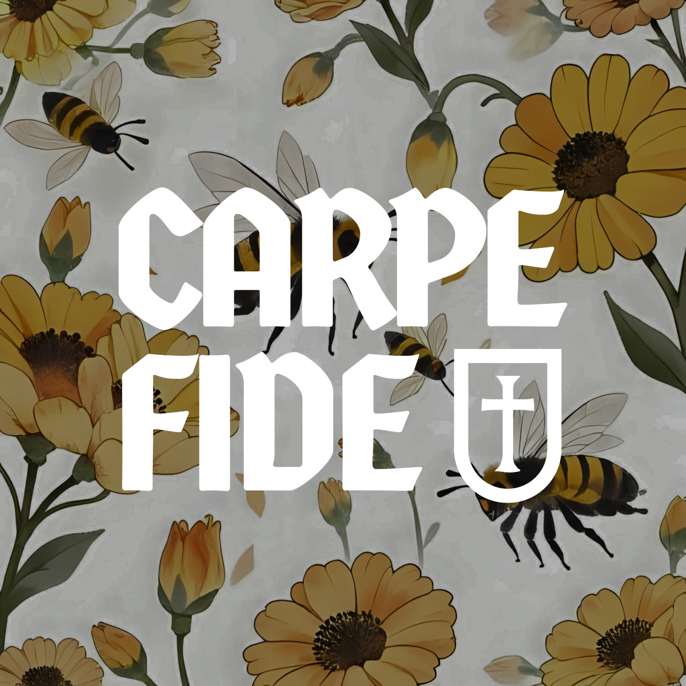 BONUS - Bee Episode (and hidden coupon code!) [Carpe Fide]